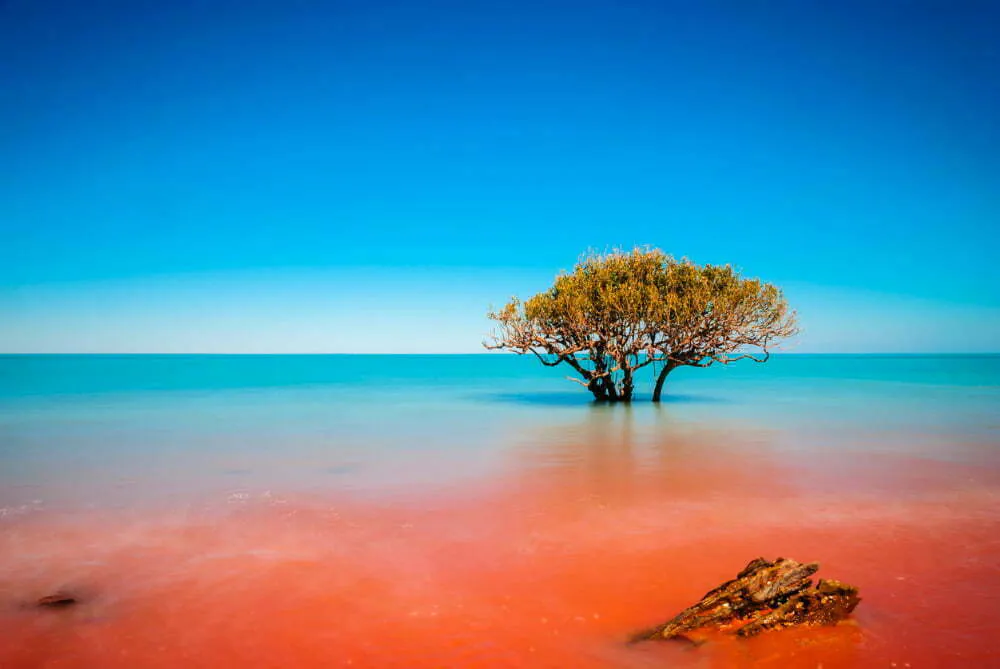 Broome